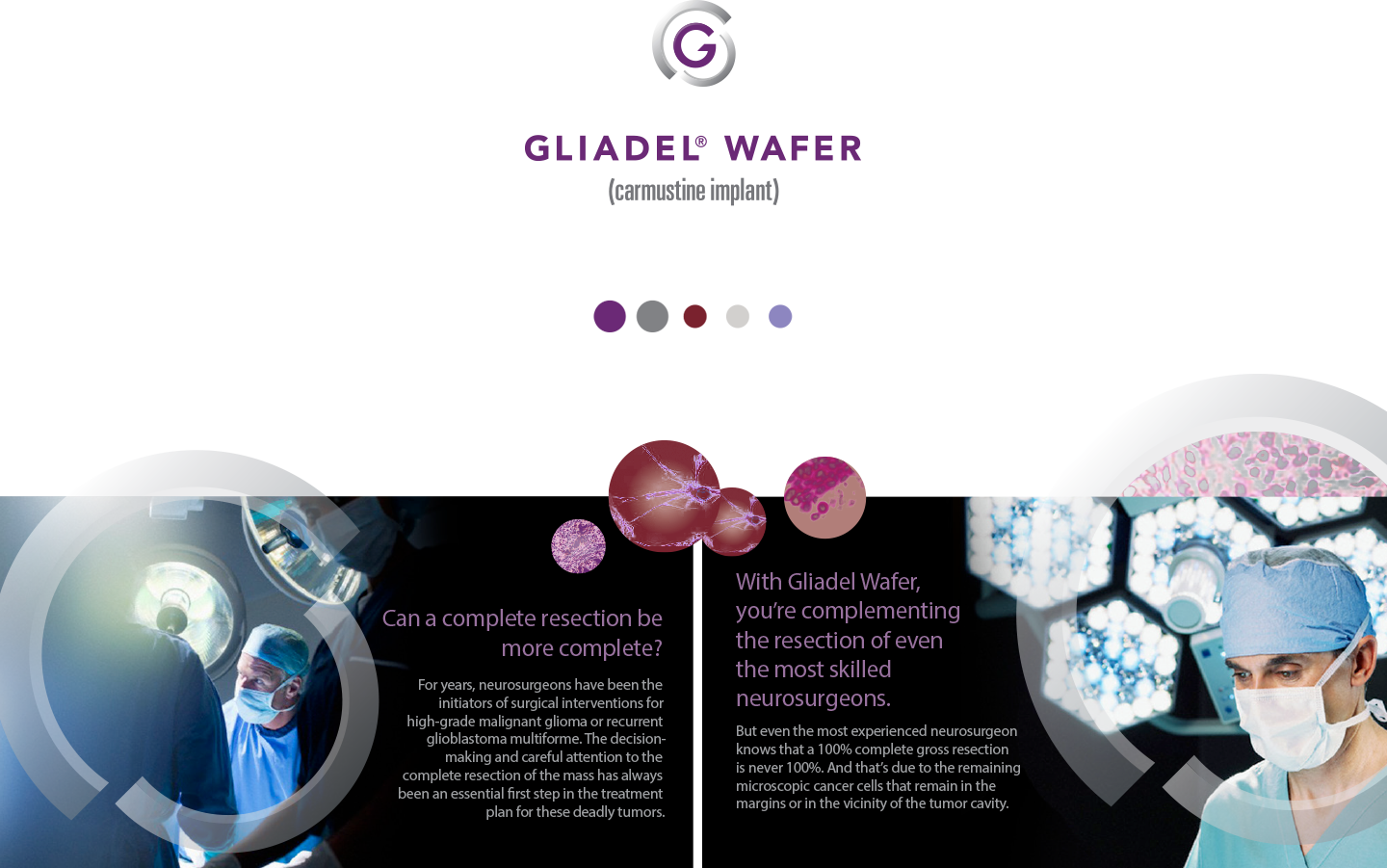 gl_img3