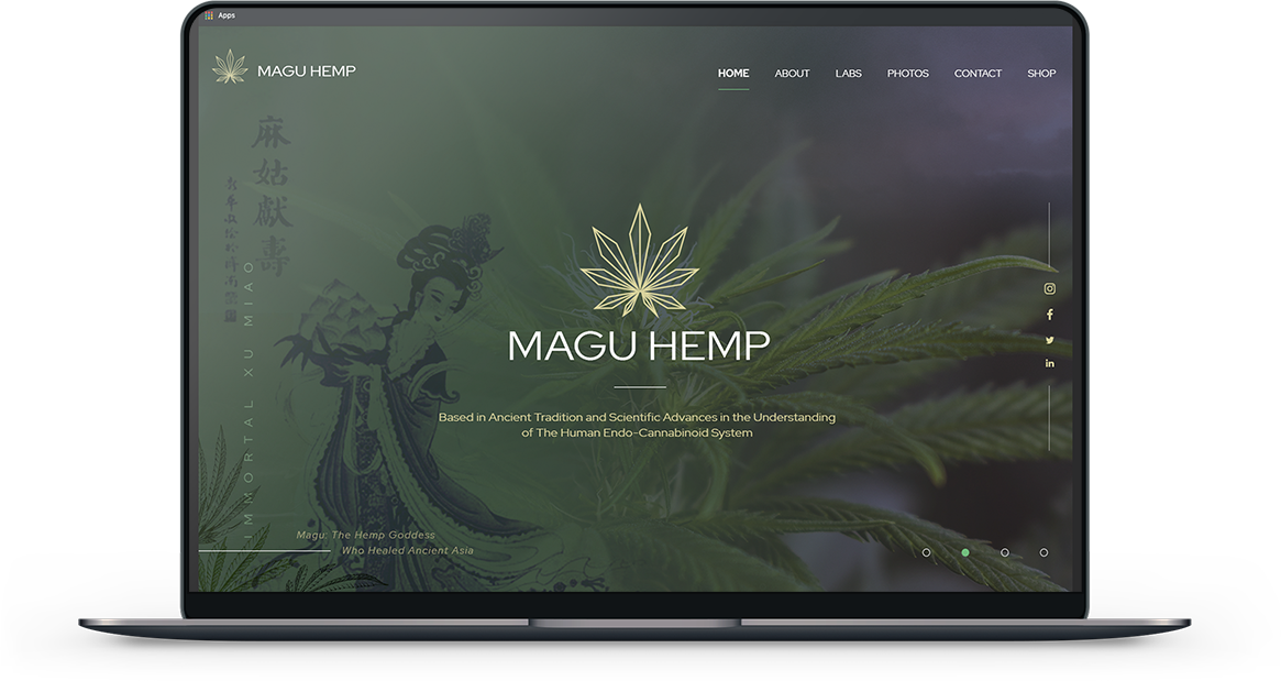 mag_img1
